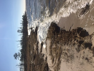 Site of Future Shoreline Restoration_Deal Island.jpeg